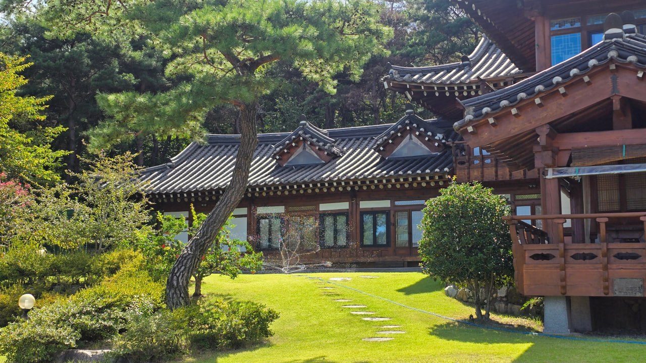 소나무와 디딤돌이 있는 친환경 한옥 정원